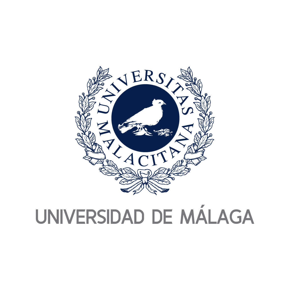 Estudiar en la Universidad de Málaga Carreras y Admisión 2023